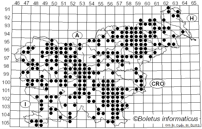 <i>Gymnopus</i> (Pers.) Roussel (1806)