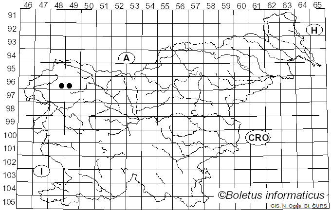 <i>Buellia chloroleuca</i> Körb.