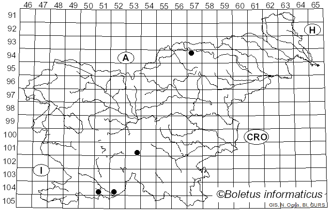 <i>Scutellinia subhirtella</i> Svrček (1971)