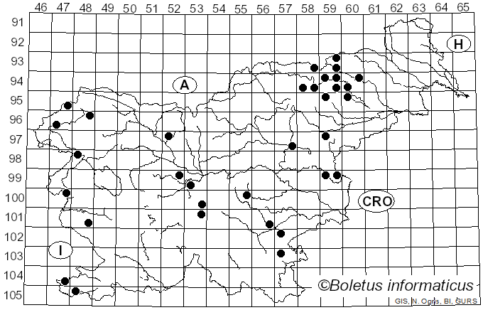 <i>Lepiota erminea</i> (Fr.) P. Kumm. (1874)