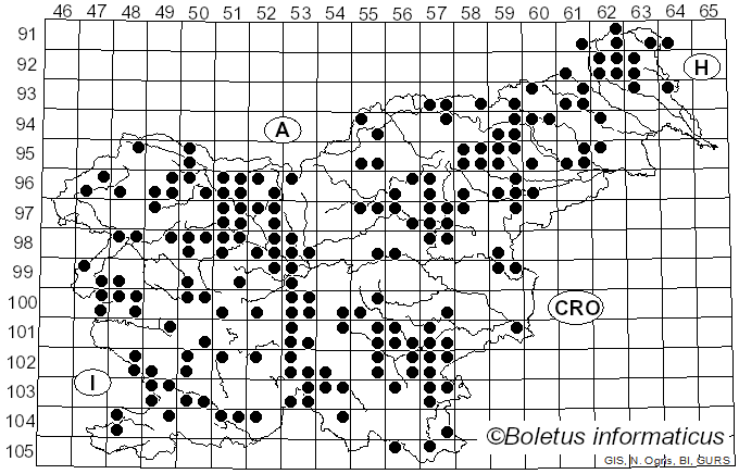 <i>Clitocybe odora</i> (Bull.) P. Kumm. (1871)