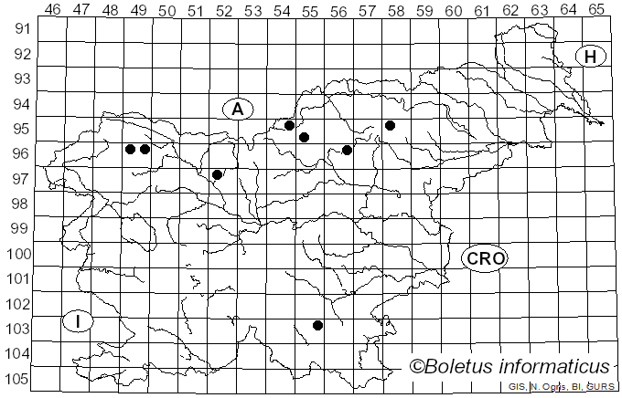 <i>Usnea barbata</i> (L.) Weber ex F.H. Wigg. (1780)