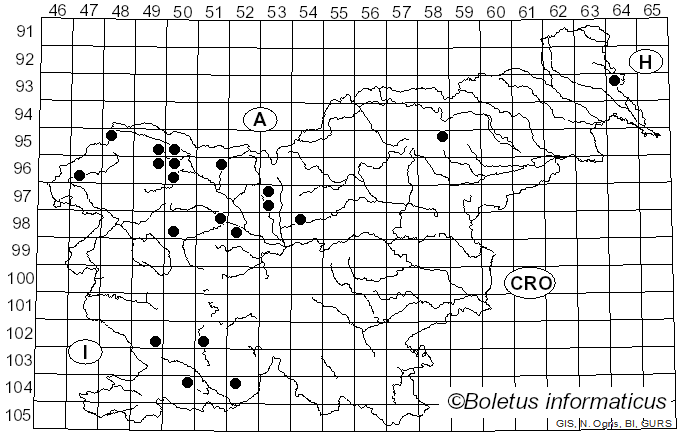 <i>Lachnum</i> Retz. (1795)