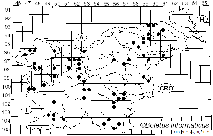 <i>Plicaturopsis</i> D.A. Reid (1964)