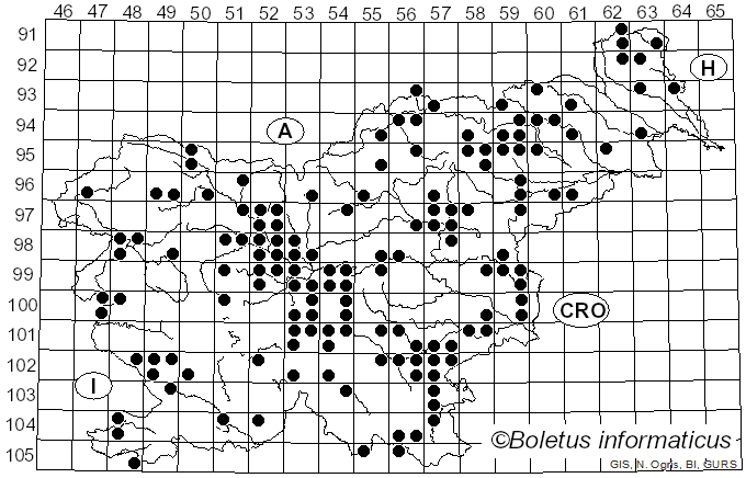 <i>Tricholoma sejunctum</i> (Sowerby) Quél. (1872)