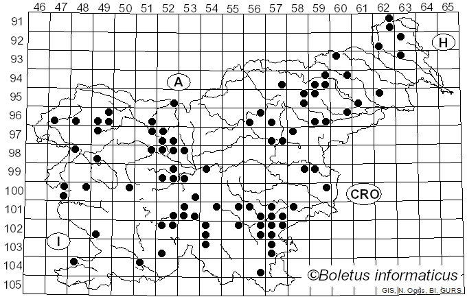 <i>Mycena rosella</i> (Fr.) P. Kumm. (1871)