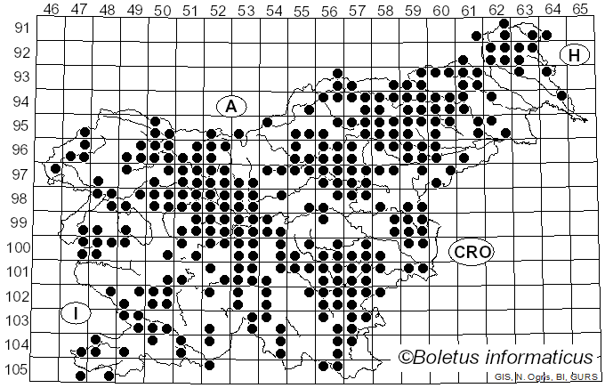 <i>Laccaria</i> Berk. & Broome (1883)