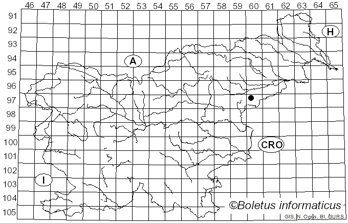 <i>Pertusaria inaequalis</i> Erichsen (1934)