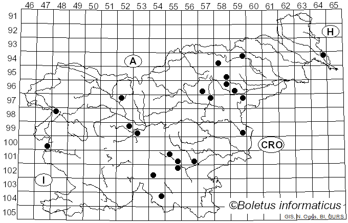 <i>Marasmius epiphyllus</i> (Pers.) Fr. (1838)