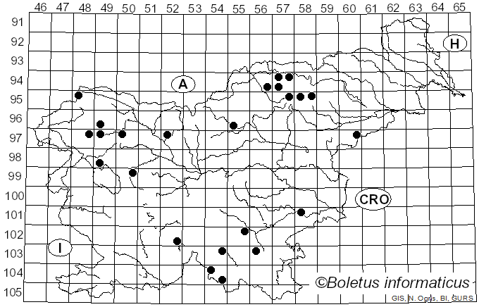 <i>Cetrelia olivetorum</i> (Nyl.) W.L. Culb. & C.F. Culb. (1968)