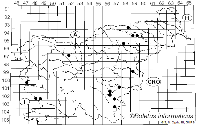 <i>Lactarius subumbonatus</i> Lindgr. (1845)