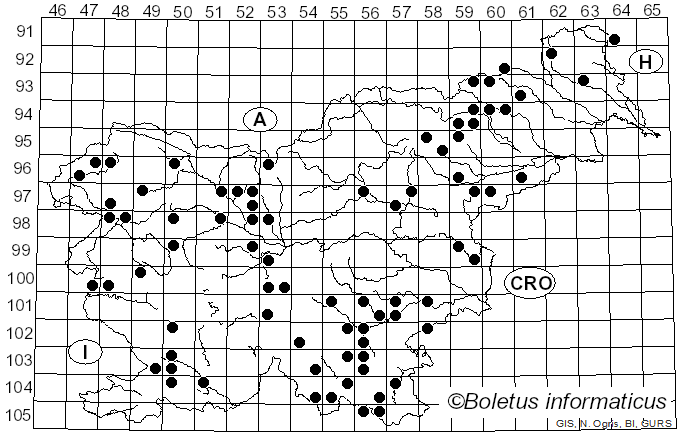 <i>Plicaturopsis crispa</i> (Pers.) D.A. Reid (1964)