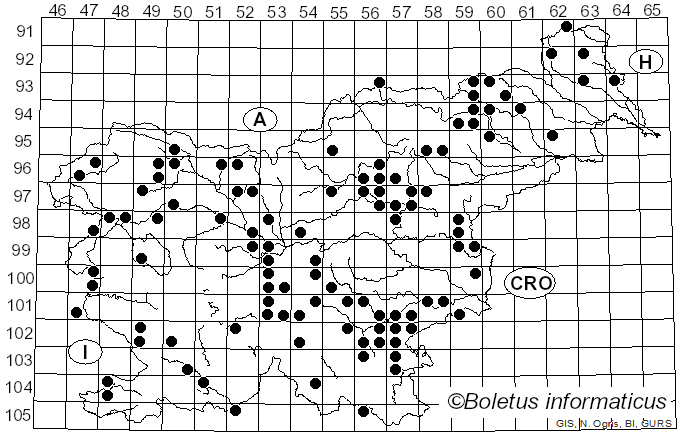 <i>Lactarius uvidus</i> (Fr.) Fr. (1838)