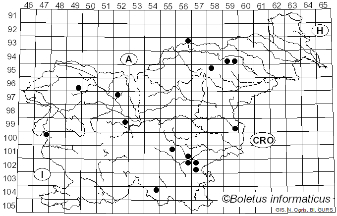 <i>Cortinarius multiformis</i> var. <i>coniferarum</i> (M.M. Moser) Nezdojm. (1983)