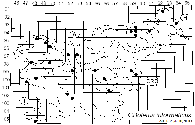 <i>Diatrype bullata</i> (Hoffm.) Fr. (1849)