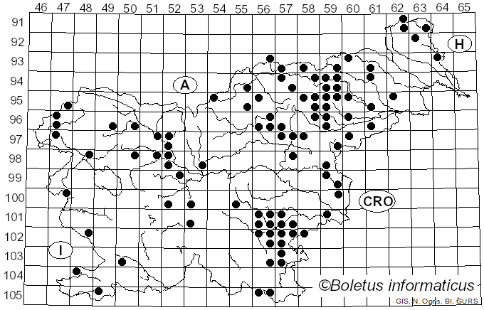 <i>Xerocomellus pruinatus</i> (Fr.) Šutara (2008)
