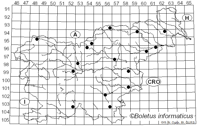 <i>Apiognomonia quercina</i> (Kleb.) Höhn. (1920)