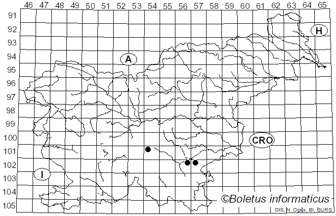 <i>Daedaleopsis nitida</i> (Durieu & Mont.) Zmitr. & Malysheva (2013)