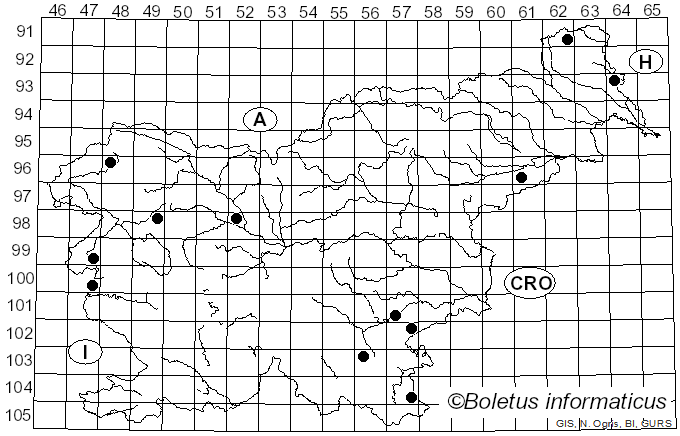 <i>Crepidotus calolepis</i> (Fr.) P. Karst. (1879)