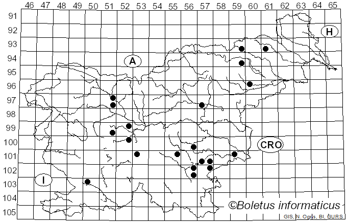 <i>Peziza arvernensis</i> Boud. (1879)