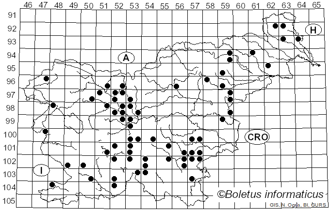 <i>Tricholoma squarrulosum</i> Bres. (1892)