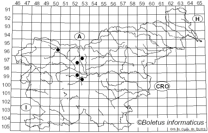 <i>Septoria polygonicola</i> (Lasch) Sacc. (1889)