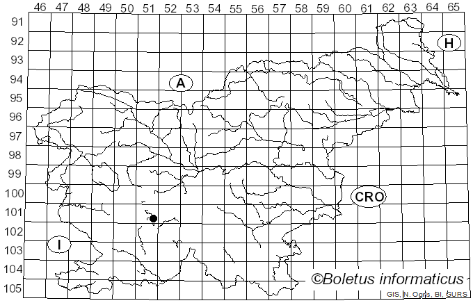 <i>Physcia leptalea</i> (Ach.) DC. (1805)
