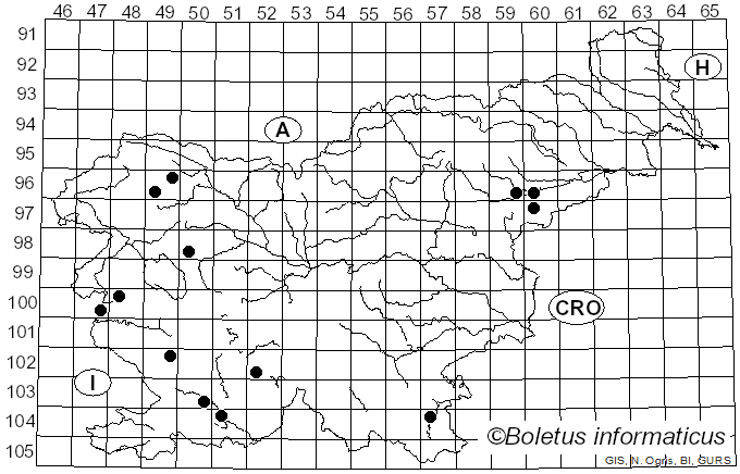 <i>Lachnellula willkommii</i> (Hartig) Dennis (1962)