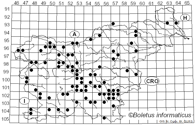 <i>Melanoleuca grammopodia</i> (Bull.) Murrill (1914)