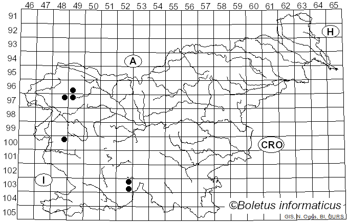 <i>Dimerella lutea</i> (Dicks.) Trevis. (1880)