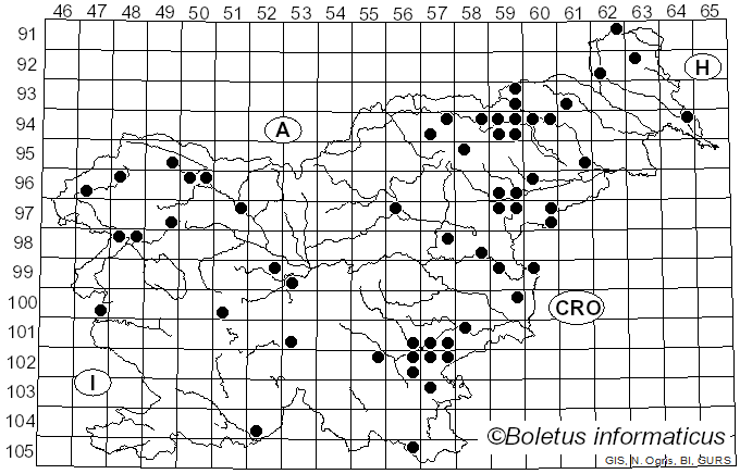 <i>Stereum gausapatum</i> (Fr.) Fr. (1874)
