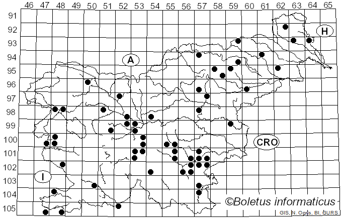 <i>Russula maculata</i> Quél. & Roze (1877)