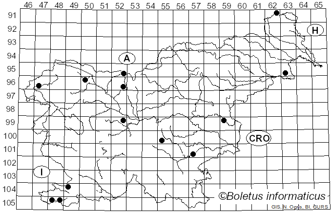 <i>Resupinatus applicatus</i> (Batsch) Gray (1821)