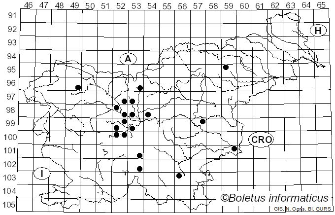 <i>Clitocybe infundibuliformis</i> (Schaeff.) Quél. (1872)