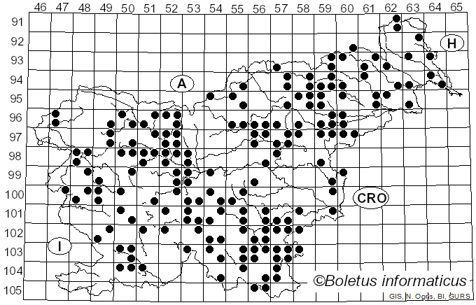 <i>Ganoderma applanatum</i> (Pers.) Pat. (1887)