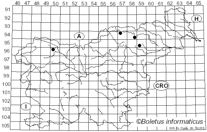 <i>Bacidia arnoldiana</i> Körb. (1860)