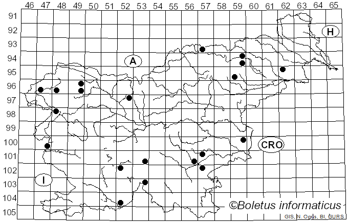 <i>Collybia cookei</i> (Bres.) J.D. Arnold (1935)