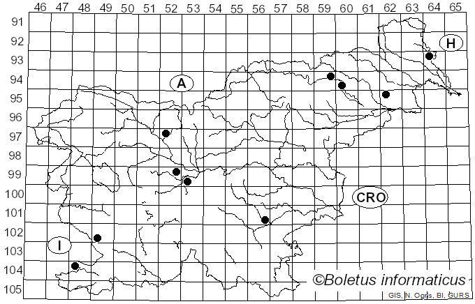 <i>Calonarius claroflavus</i> (Rob. Henry) Niskanen & Liimat. (2022)
