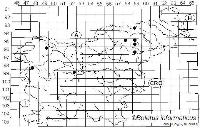 <i>Russula laricina</i> Velen. (1920)