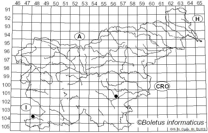 <i>Cortinarius nitidus</i> (Schaeff.) Fr.