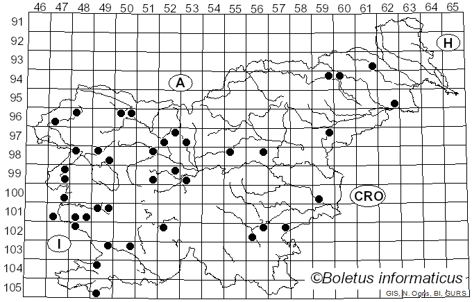 <i>Tulostoma</i> Pers. (1794)
