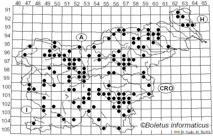 <i>Ramaria pallida</i> (Schaeff.) Ricken (1920)