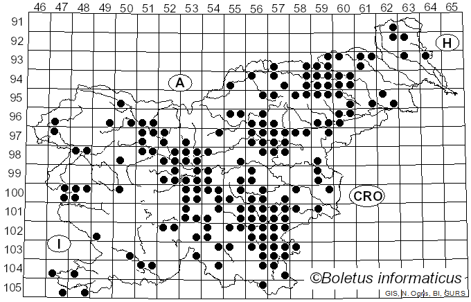 <i>Russula aurora</i> (Krombh.) Bres. (1892)
