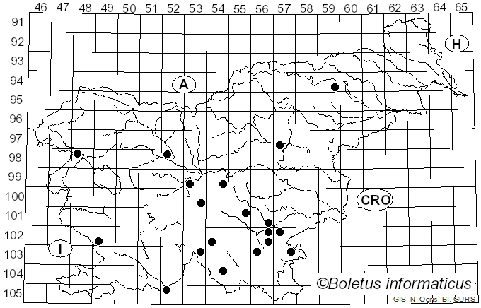 <i>Rubroboletus legaliae</i> (Pilát & Dermek) Della Magg. & Trassin. (2015)