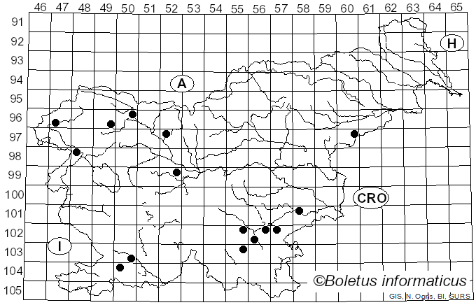 <i>Phlebia rufa</i> (Pers.) M.P. Christ. (1960)