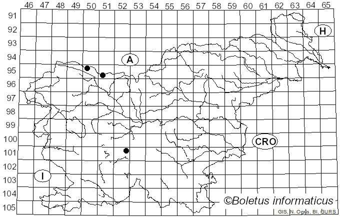 <i>Eristalis horticola</i> De Geer (1776)