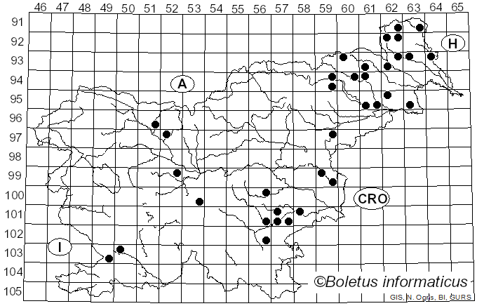 <i>Metuloidea fragrans</i> (A. David & Tortic) Miettinen (2016)