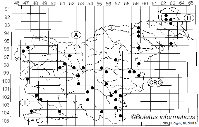 <i>Calvatia gigantea</i> (Batsch) Lloyd (1904)