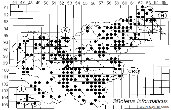 <i>Agaricus sylvicola</i> (Vittad.) Peck (1872)