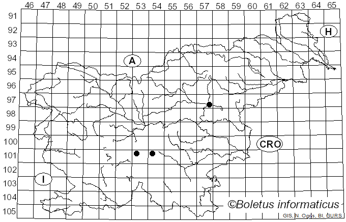 <i>Cortinarius aleuriolens</i> Chevassut & Rob. Henry (1982)